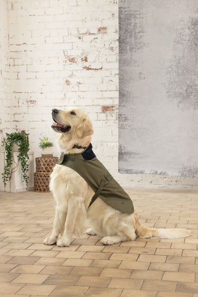 Heritage Dog Coat - Fern