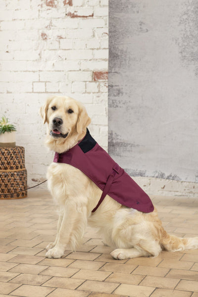 Heritage Dog Coat - Plum