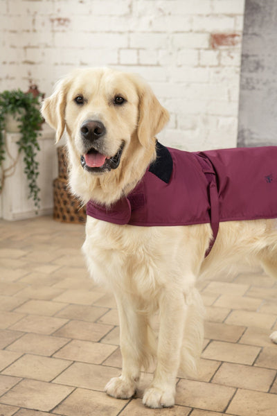Heritage Dog Coat - Plum