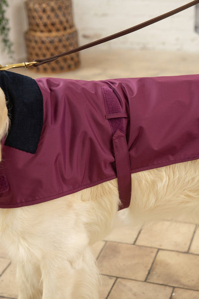 Heritage Dog Coat - Plum