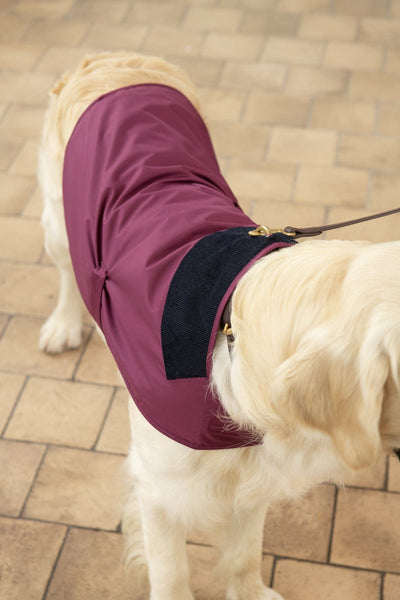 Heritage Dog Coat - Plum